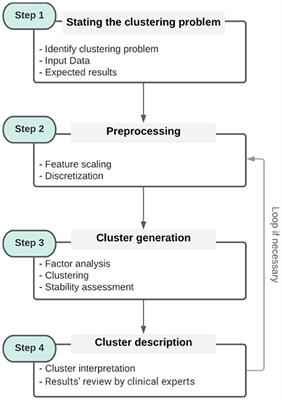 Qluster: An easy-to-implement generic workflow for robust clustering of health data
